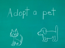 pet-adoption-alerts pet adoption alerts