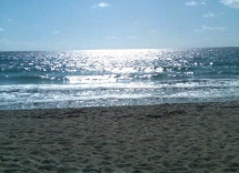 surf-reports surf reports